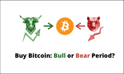 Bull or Bear Period