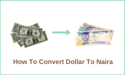 convert 5 000 dollar to naira