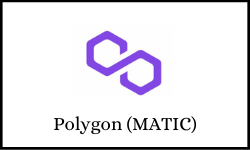 Polygon (MATIC) Review