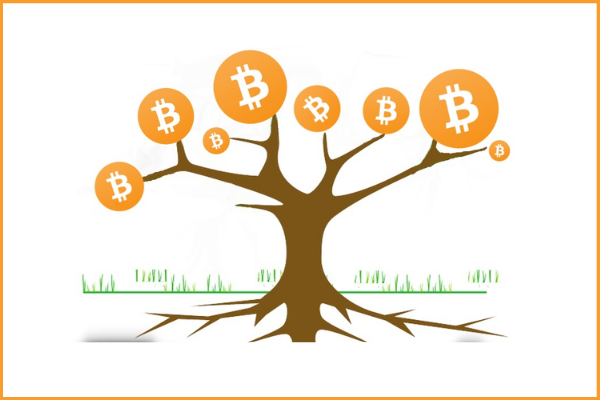 Bitcoin Taproot upgrade