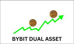 bybit dual asset