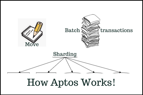 How aptos works