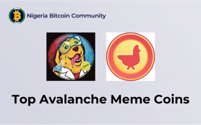 Top Meme Coins on Avalanche: COQ and TECH