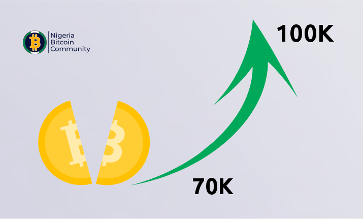 Bitcoin to hit $100k after halving