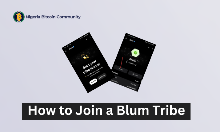 Blum Airdrop: How to Join a Tribe on Blum