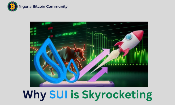 Why SUI is Skyrocketing: Key Opportunities You Can’t Miss