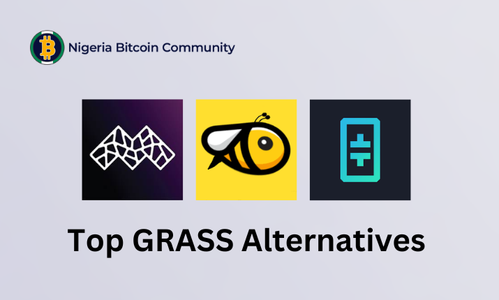 5 Top GRASS Airdrop Alternatives