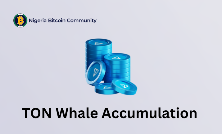 Toncoin (TON) Whale Accumulation Rises Amidst Price Stagnation